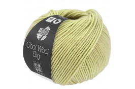 Cool Wool Big 1029 berkengroen